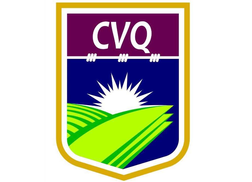 Soluciones por Sector 3 LOGO cvq min 1