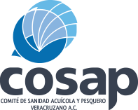 Soluciones por Sector 6 logo cosap min 1