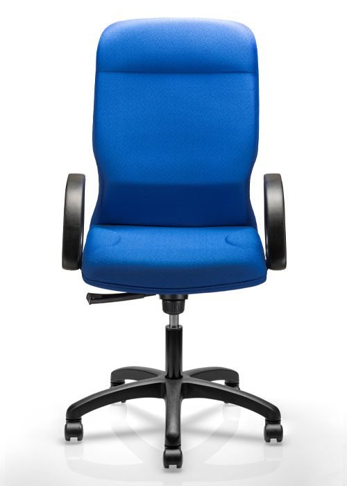 ERG Web 2308 CS frontal